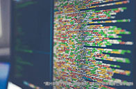 美國富人子女喜歡申請的大學是哪幾所？