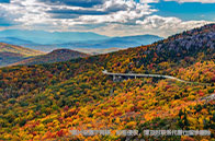 申請新加坡名校注意事項