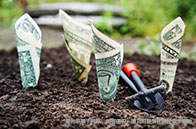 什么人適合申請萊斯大學？