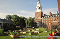 前沿項目：NYU大學Marketing專業