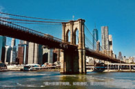 加拿大熱門專業國際生學費匯總