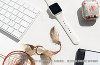 如何申請留學倫敦大學學院？