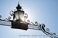 帝國理工大學生物專業排名多少位？