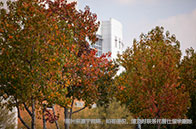 上海平和學校錄取英國大學有哪些？