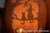 埃默里大學計算機碩士費用多高？