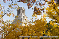 南洋理工學院區塊鏈技術理學碩士介紹