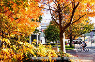 麥吉爾大學博士資助金額怎么樣？