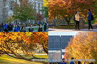 渥太華大學(xué)留學(xué)一年費用多少錢？