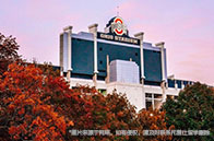 NUS發明利用磁療激發肌肉抗癌潛能的新方法