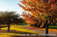 新加坡國立大學統計碩士讀幾年？