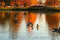 南洋理工大學(xué)對外漢語教學(xué)碩士錄取難度