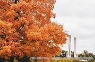 約克大學(xué)英國排名第幾？