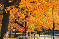 最新華威大學(xué)商科碩士世界排名一覽