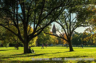 機遇與挑戰，牛津大學部分學院取消筆試考試