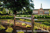 新加坡國立大學(xué)研究型項(xiàng)目招生人數(shù)統(tǒng)計(jì)