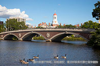 南洋理工大學心理學博士學什么？