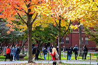 好消息！新國大化工系推出過程安全數字化課程