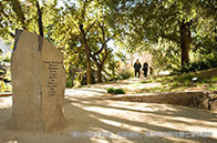 華威大學經濟專業學費多少錢？