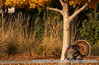 英國金融碩士全球排名最新情況：牛津本土TOP1