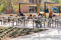 最受雇主歡迎的英國(guó)大學(xué)是哪幾所？