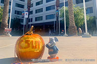 詳解|NUS公司與金融服務法學碩士