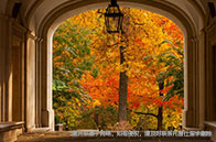 不列顛哥倫比亞大學斥巨資建成首個氫能中心