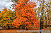 南洋理工大學(xué)電力工程碩士入學(xué)條件有哪些？