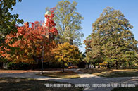 美國工程碩士學費多少錢？