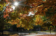 劍橋大學數(shù)據密集型科學碩士詳細介紹