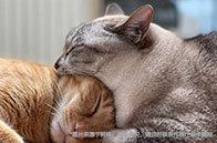 英國哪所大學金融專業最好？