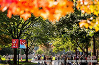 倫敦大學學院生態與城市工程碩士介紹