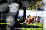 加拿大會(huì)計(jì)碩士一年學(xué)費(fèi)多少錢？