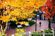 好消息！南洋理工大學(xué)降低語(yǔ)言要求啦！