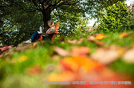 倫敦政治經濟學院最新qs排名：2025QS第50