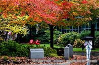 南洋理工大學工程學院碩士專業有哪些？