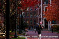 加拿大數(shù)據(jù)科學(xué)與人工智能專業(yè)排名一覽