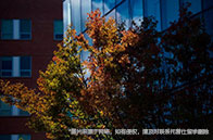 帝國理工學(xué)院排名一覽