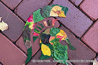 重磅！加州大學伯克利今秋新增以色列研究輔修專業