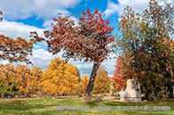 曼徹斯特大學(xué)社會變革環(huán)境和可持續(xù)發(fā)展碩士簡介