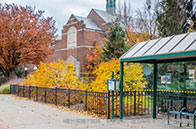 上新！伯克利全球訪校項(xiàng)目將于下月開啟春季申請(qǐng)