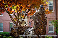 高考多少分能上英國本科？