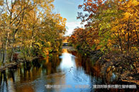 加拿大圣瑪麗大學排名靠前嗎？