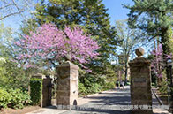 南洋理工大學研究生gre要求介紹