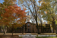 新加坡國立大學人工智能碩士簡介