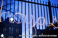 杜倫大學(xué)排名多少？