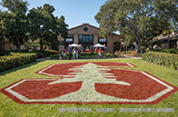 在英國(guó)讀大學(xué)水不水？NO！