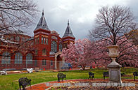 倫敦國王學院人工智能碩士申請條件有哪些？