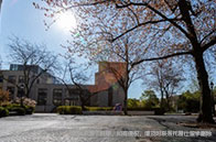 2024年加拿大基礎類大學排名變化