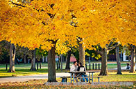 2024-25年UBC大學(xué)學(xué)費(fèi)全面上漲