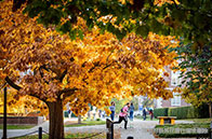 帝國理工學院化學系推出新研究生課程